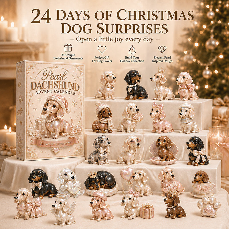 2026 Pearl Dachshund Christmas Advent Calendar🎄