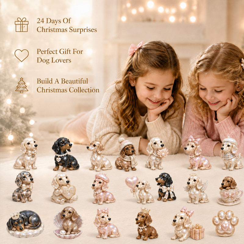 2026 Pearl Dachshund Christmas Advent Calendar🎄